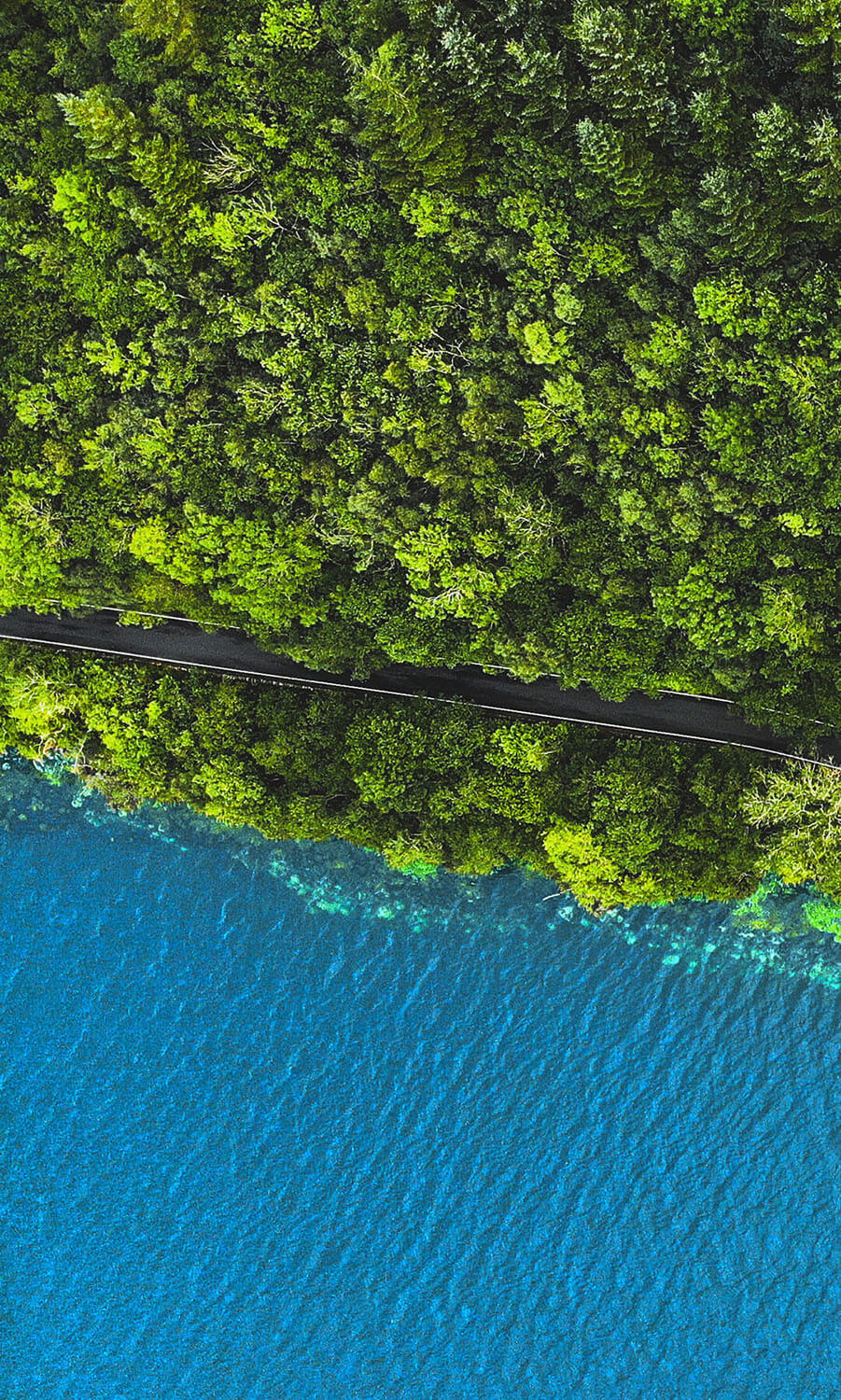 Accompagnement numerique